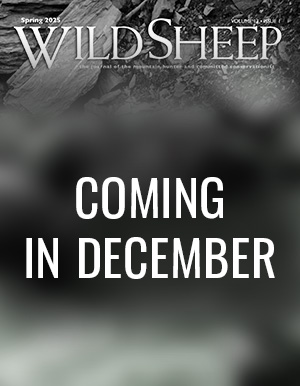 Fake Winter Wild Sheep Cover
